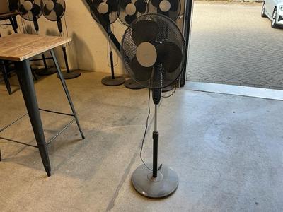 Översiktsbild av Fan (12x)